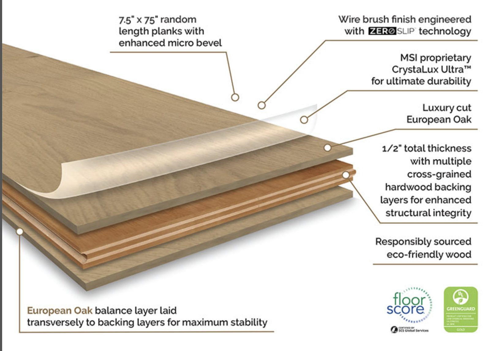 Engineered hardwood layer cutaway