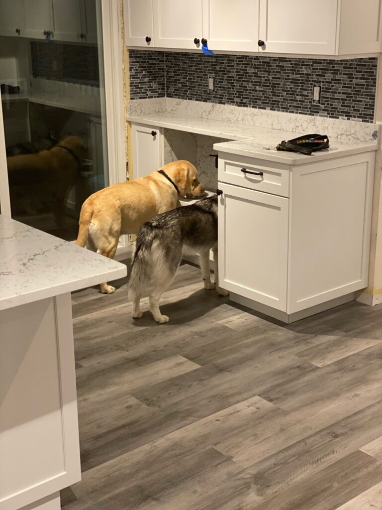 LVT — Luxury Vinyl — husky pet nook