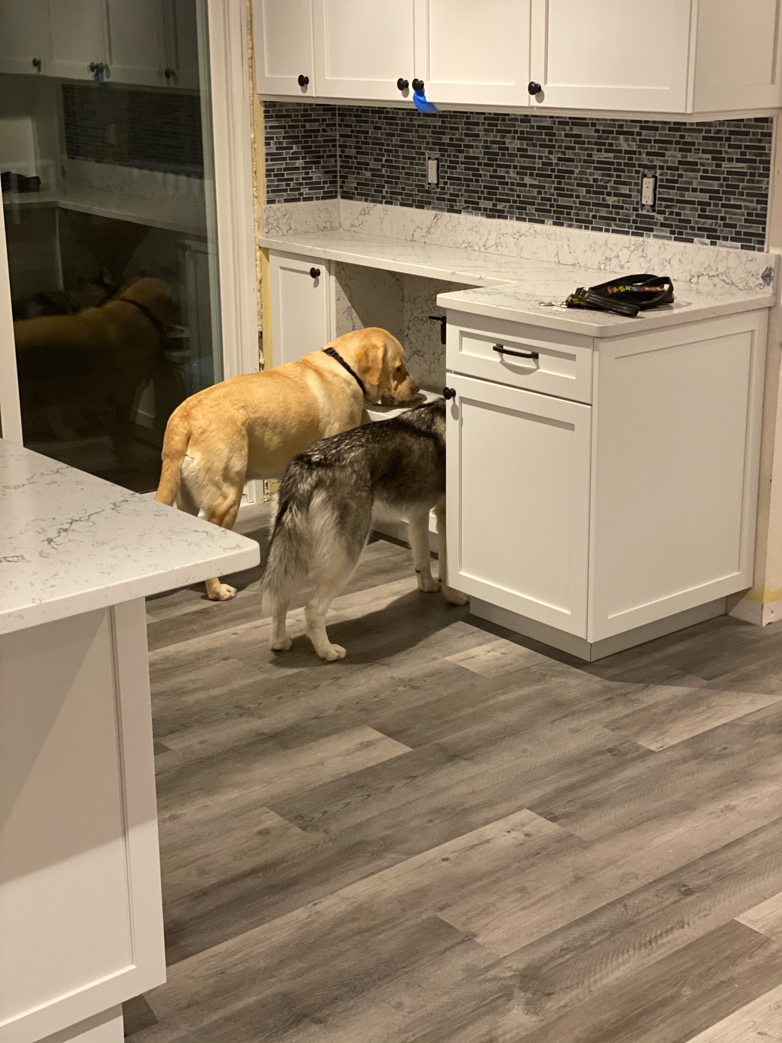 LVT — Luxury Vinyl — husky pet nook